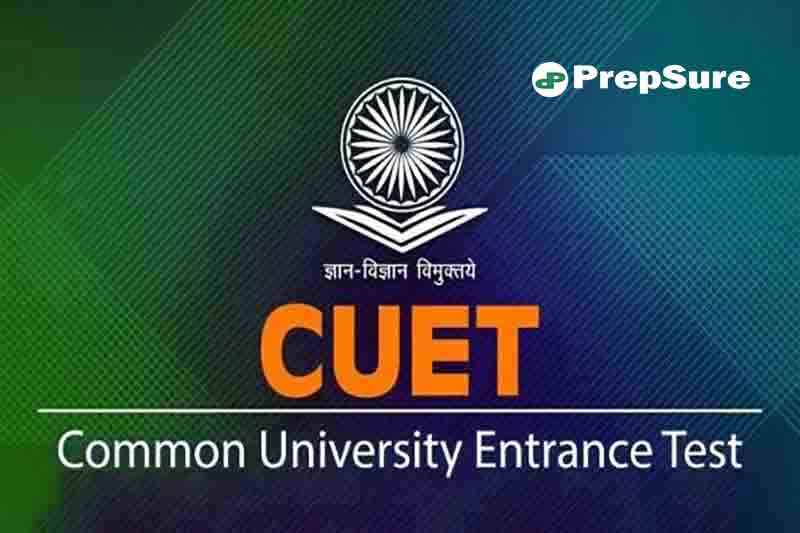 CUET Domain Subjects List with Codes